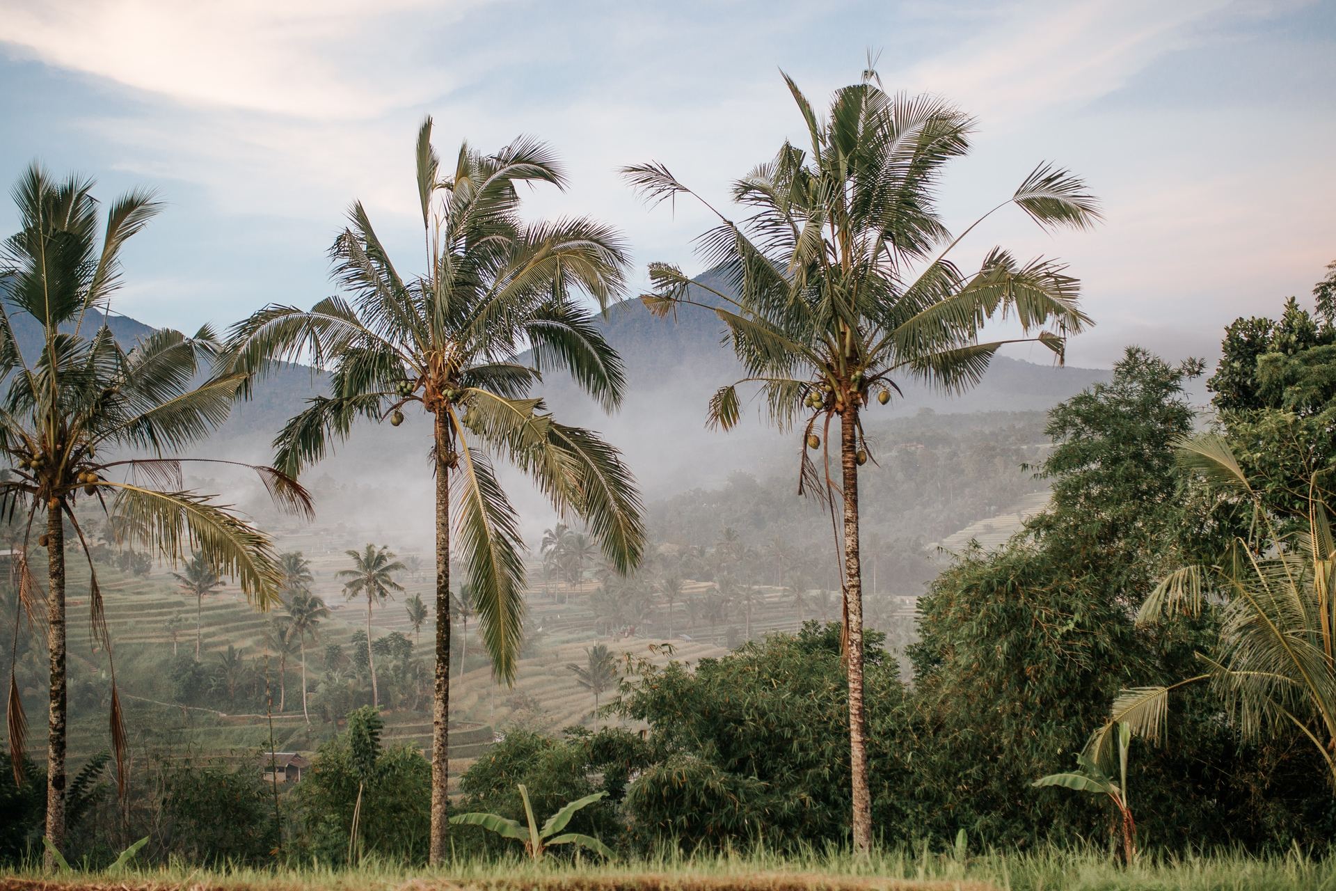 Bali Villa 1009 – 5-Star Escape Near Beach & Rice Fields