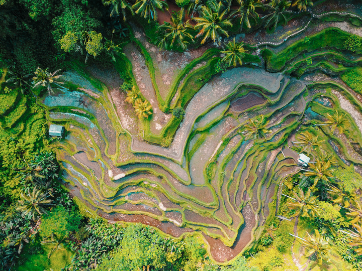 Glamorous Beachside Escape in Seminyak, Bali Villa 1055