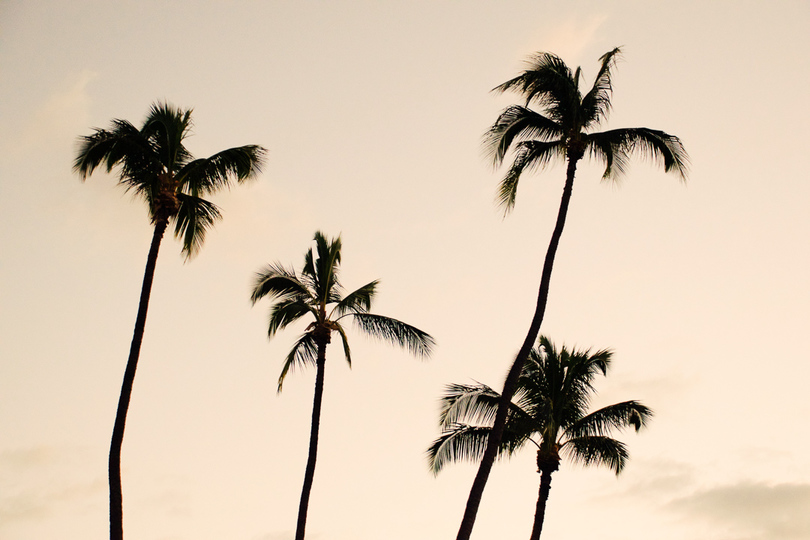 Secluded Garden Paradise - Bali Villa 1093