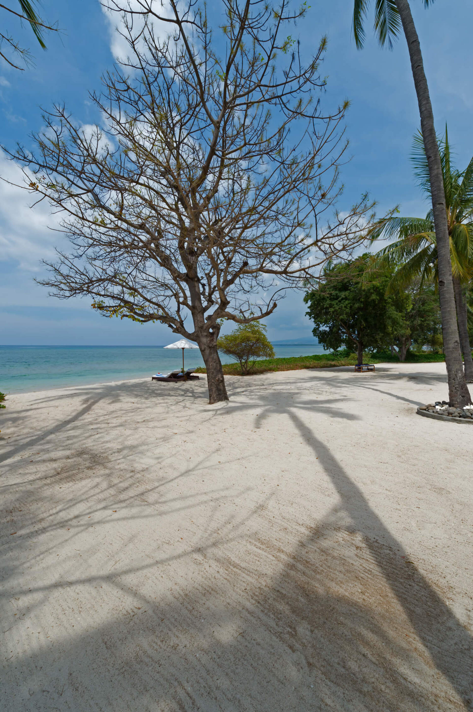 Ocean View Luxury Escape Lombok Villa 1133