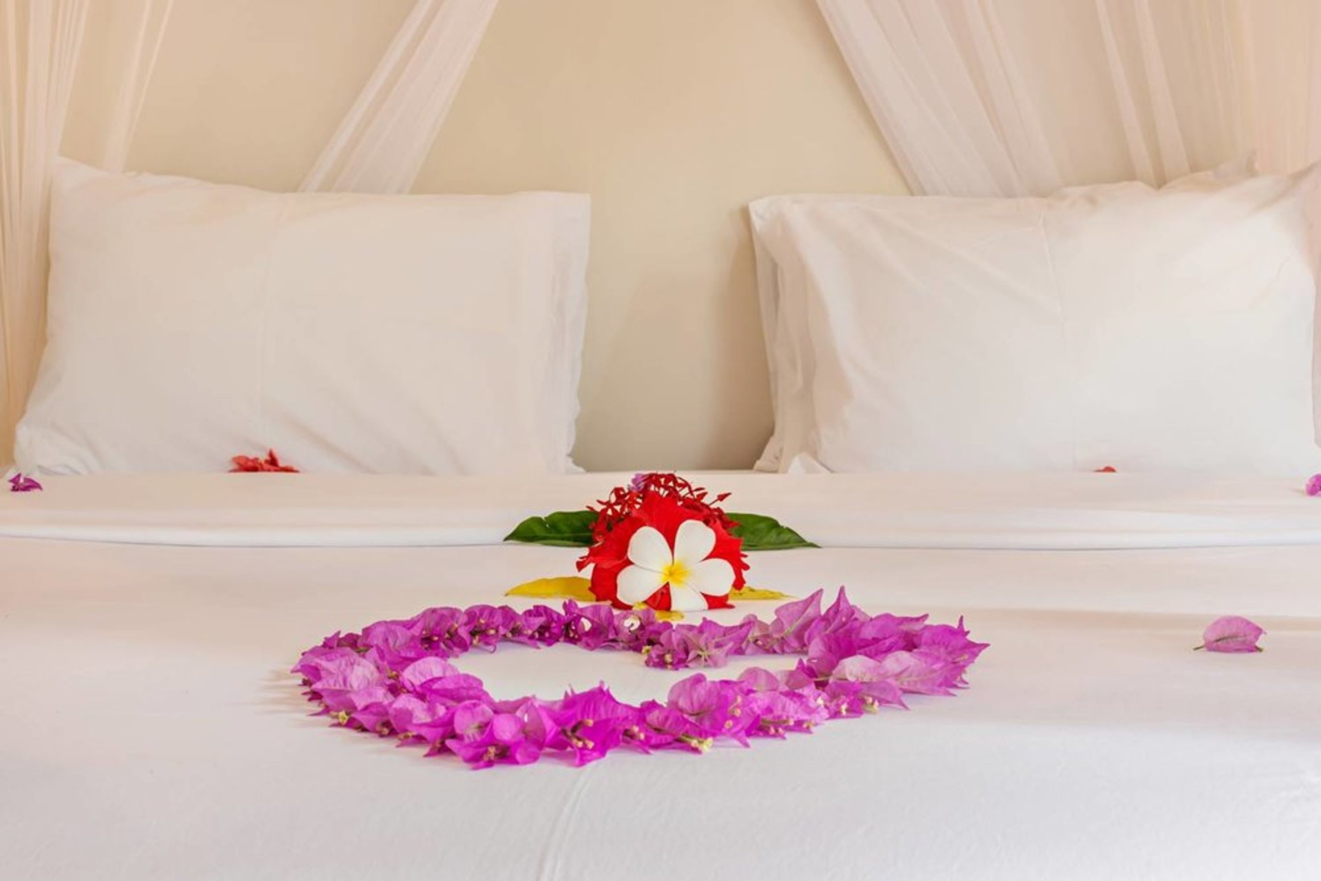 Exclusive Holiday Villa with Pool and Staff, Bali Villa 1156