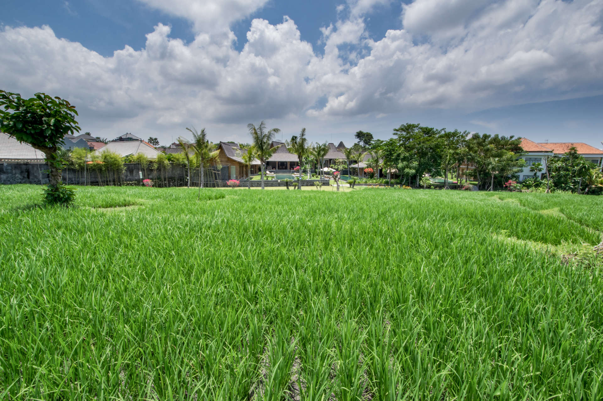 Enjoy a Holiday of a Lifetime Renting Your Own 5 Star Private Villa at the Best Rate in Kerobokan, Villa Bali 2008