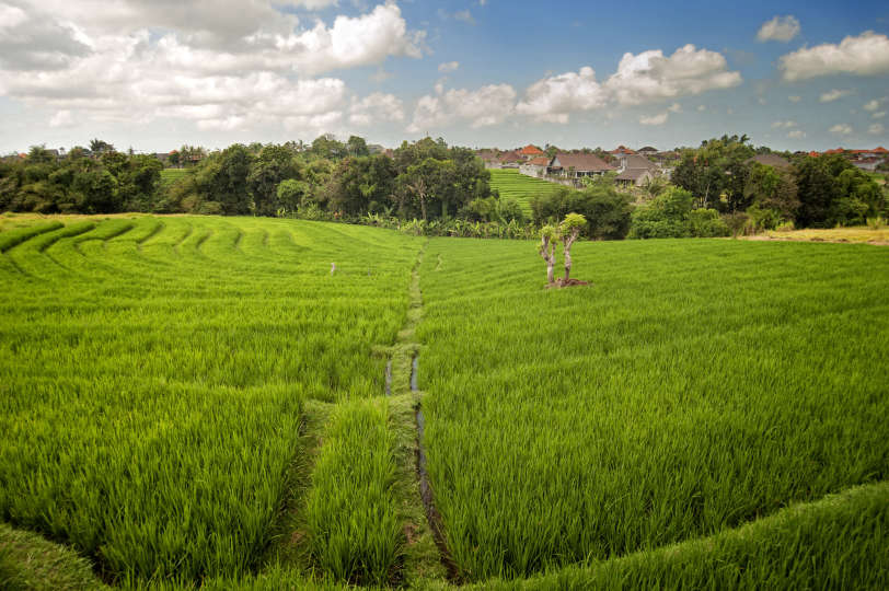 Rent a Luxury Villa in Bali Close to the Beach, Bali Villa 2054