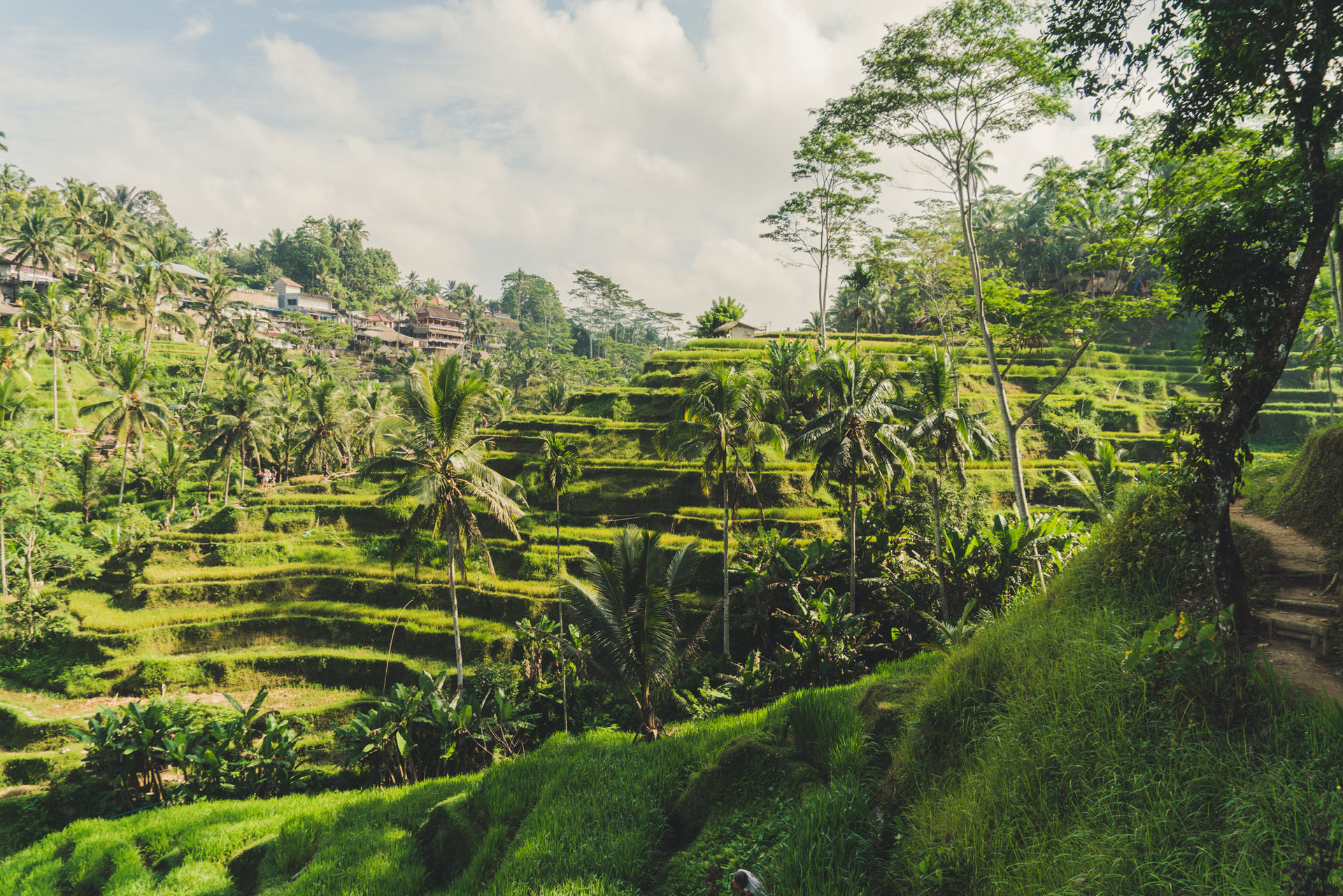 5 Star Villa for Rent in Bali, Bali Villa 2068