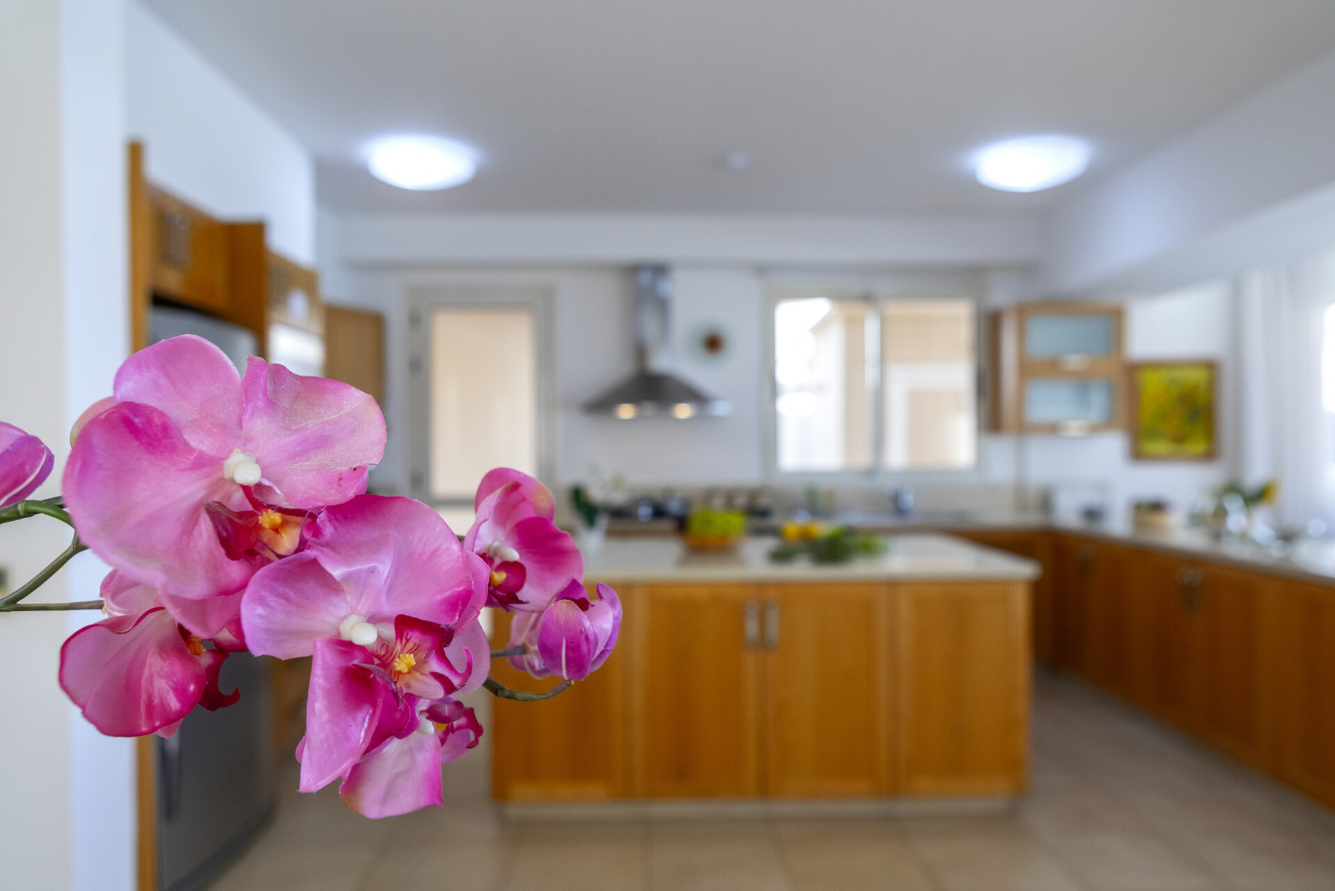 You and Your Family will Love this 5 Star Beachfront Villa, Protaras Villa 1536