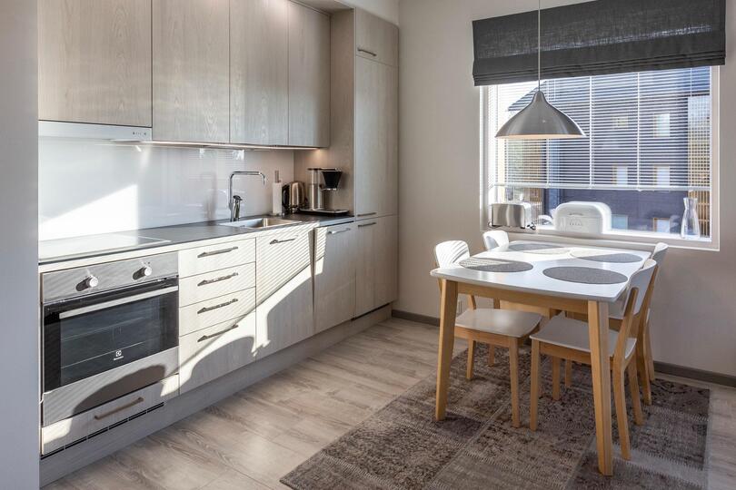 Stylish Alpine Retreat, Lapland Apartment 1002