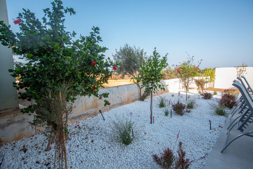 Your 5 Star Beach Villa in Famagusta Villa 1024