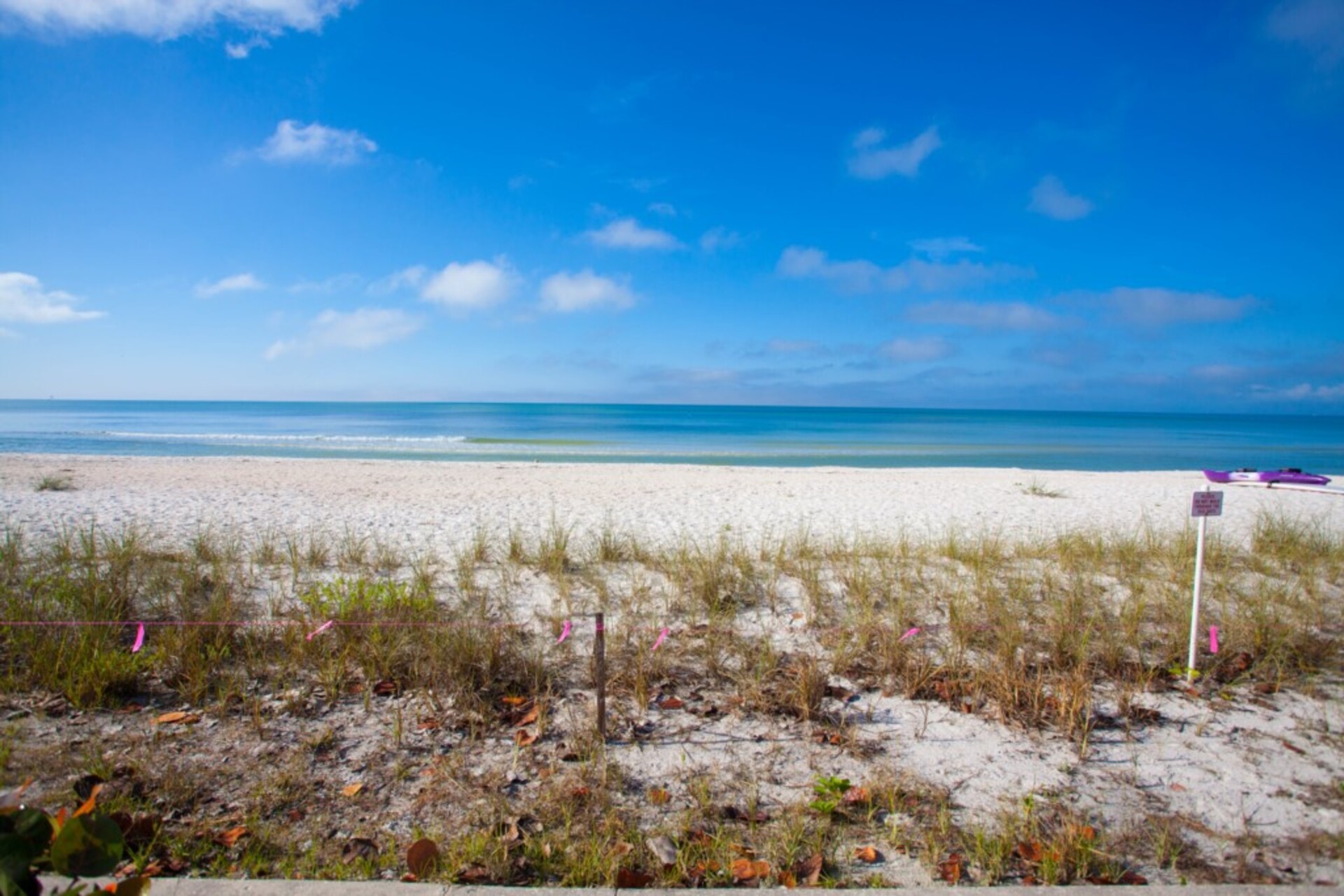 Exclusive Holiday Condo on Dolphin Way, Florida Condo 5961