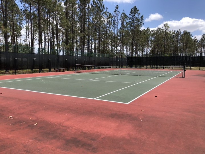 Luxury Florida Villa with Fantastic Private Pool on Highlands Reserve Resort, Florida Villa 6184