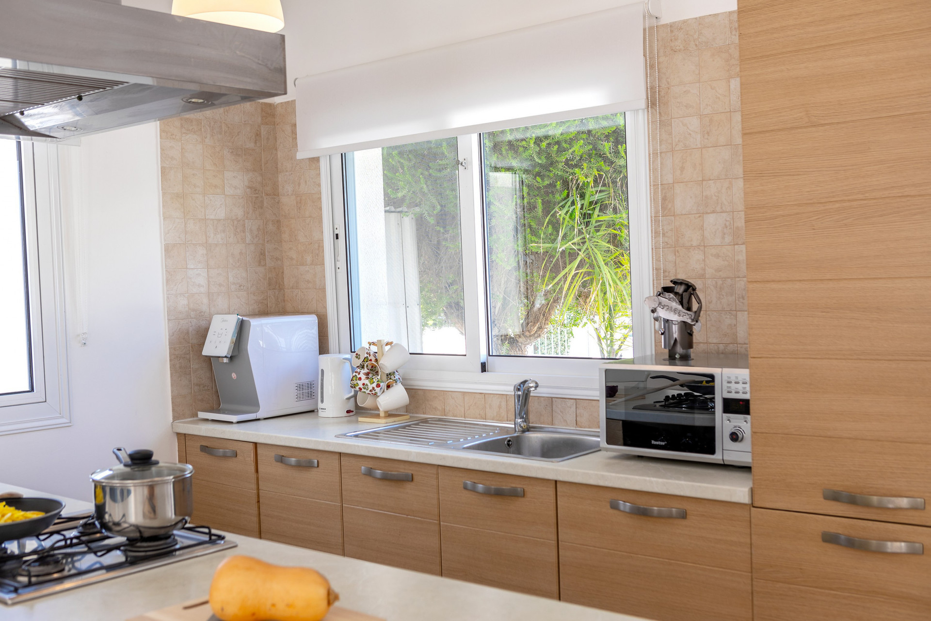 Beautiful Villa minutes from beach, Protaras Villa 1027