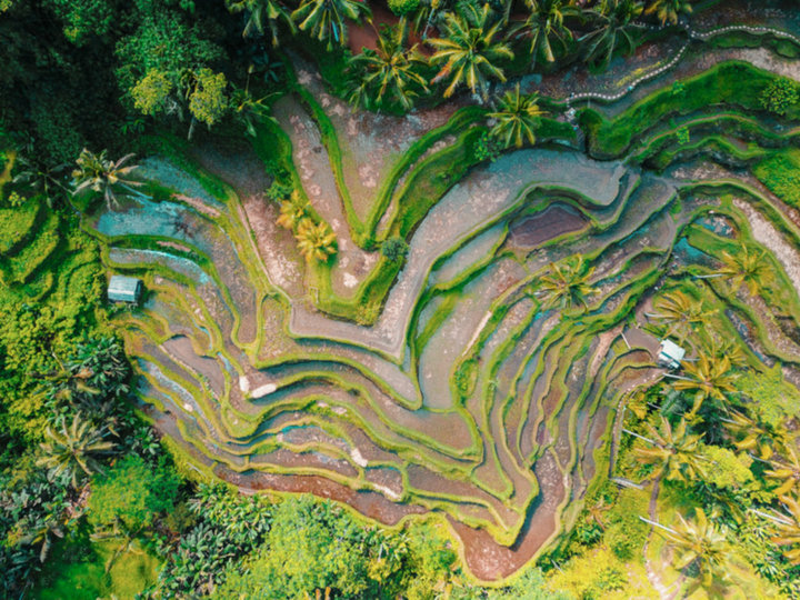Wonderful 4BR Villa with Pool, Bali Villa 2212