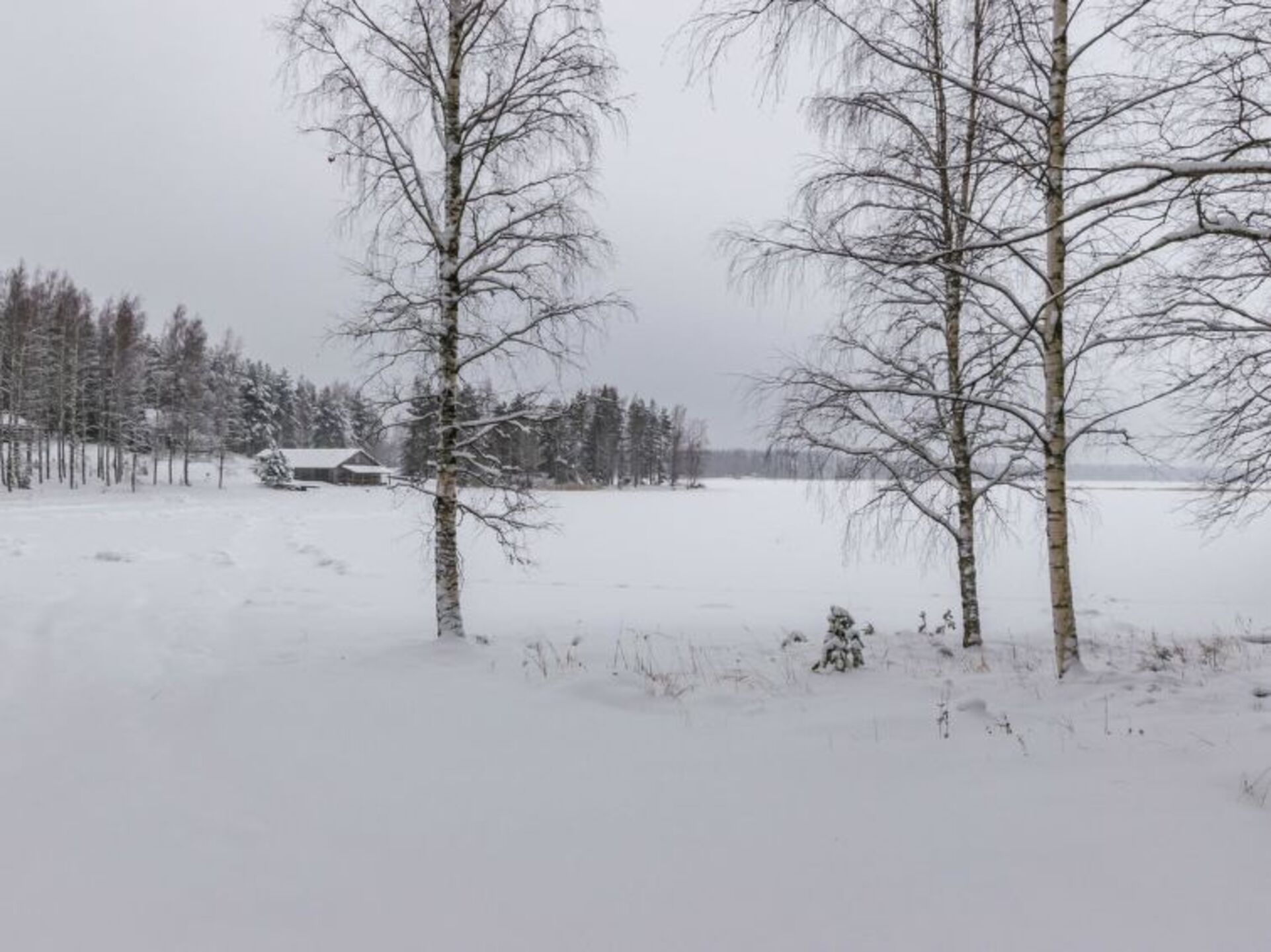 Perfect Family Retreat, Punkaharju 1102