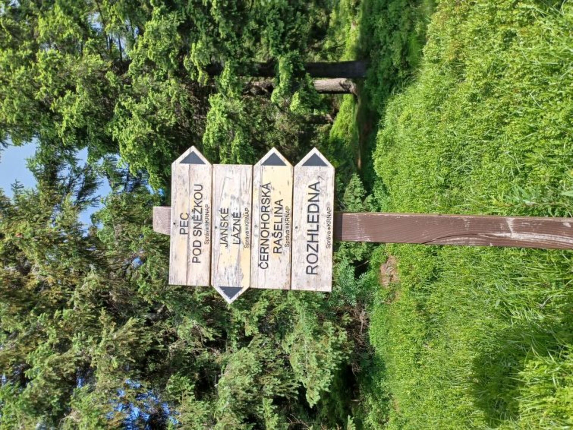 Place