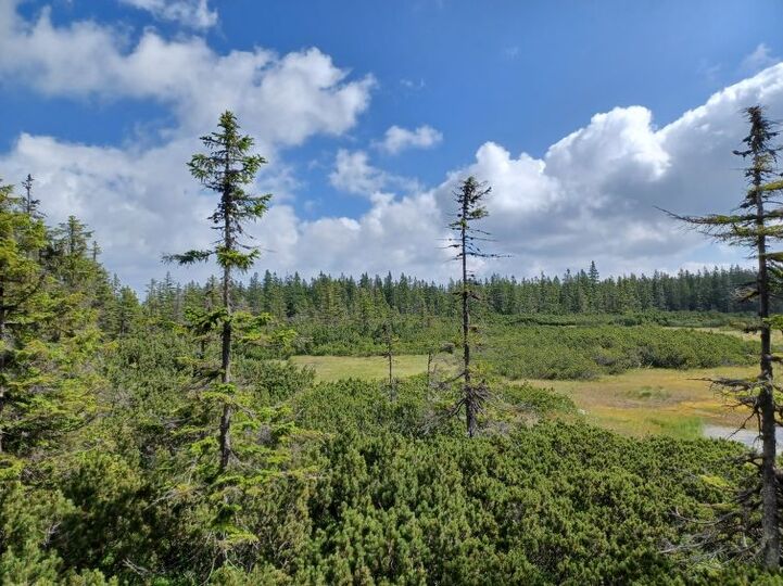 Place