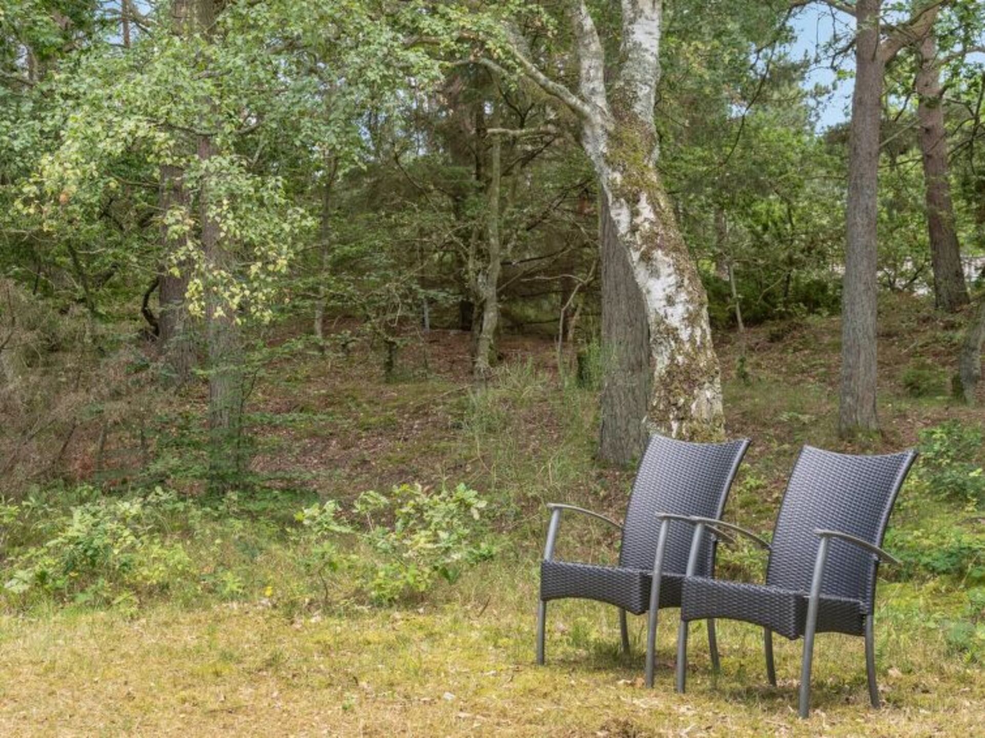 Outdoor