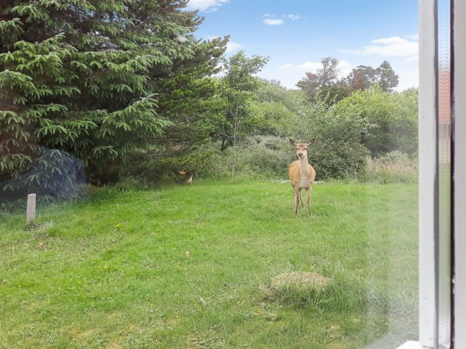 Outdoor
