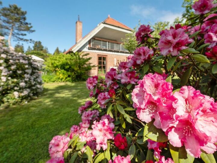Luxury Home, Idyllic Location, Rømø 1102, Rømø, Denmark