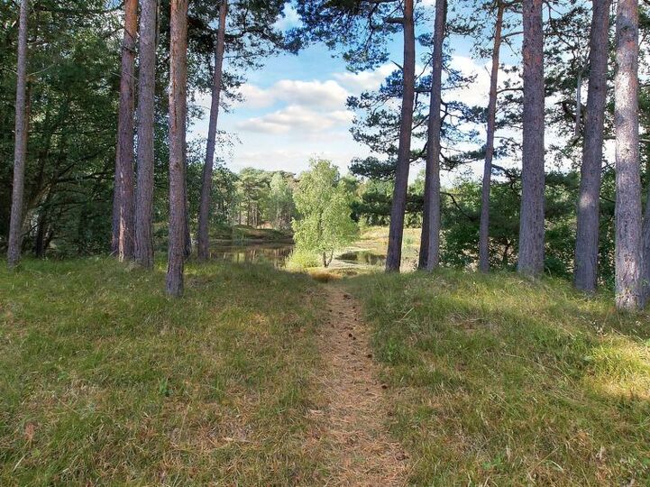 Place