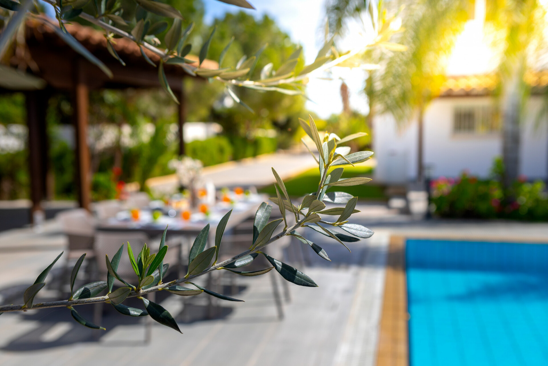 Stunning 4 Bedroom Villa in Ayia Napa Oasis, 1391