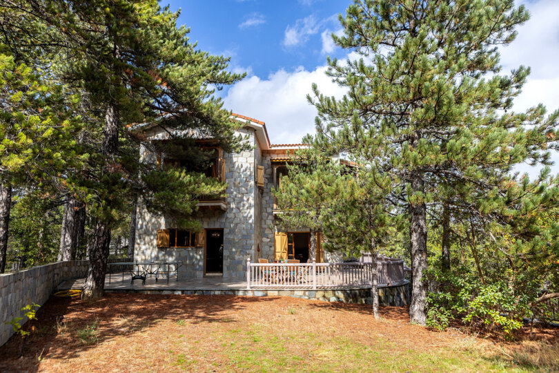 The Enchanting 4 Bedroom Villa in Pedoulas, 1005