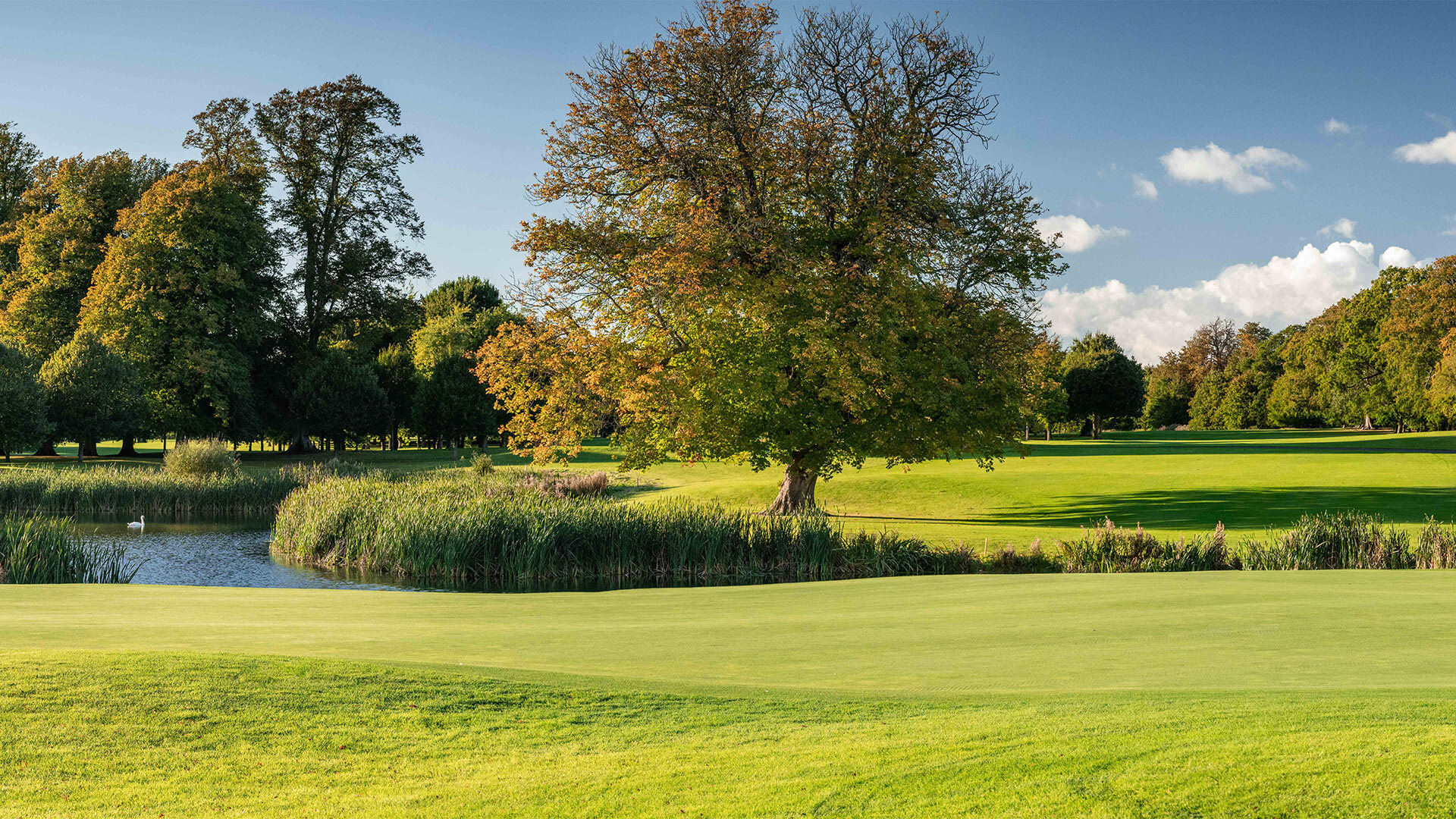 5 Star Luttrellstown Castle - Dublin’s Timeless Luxury Awaits
