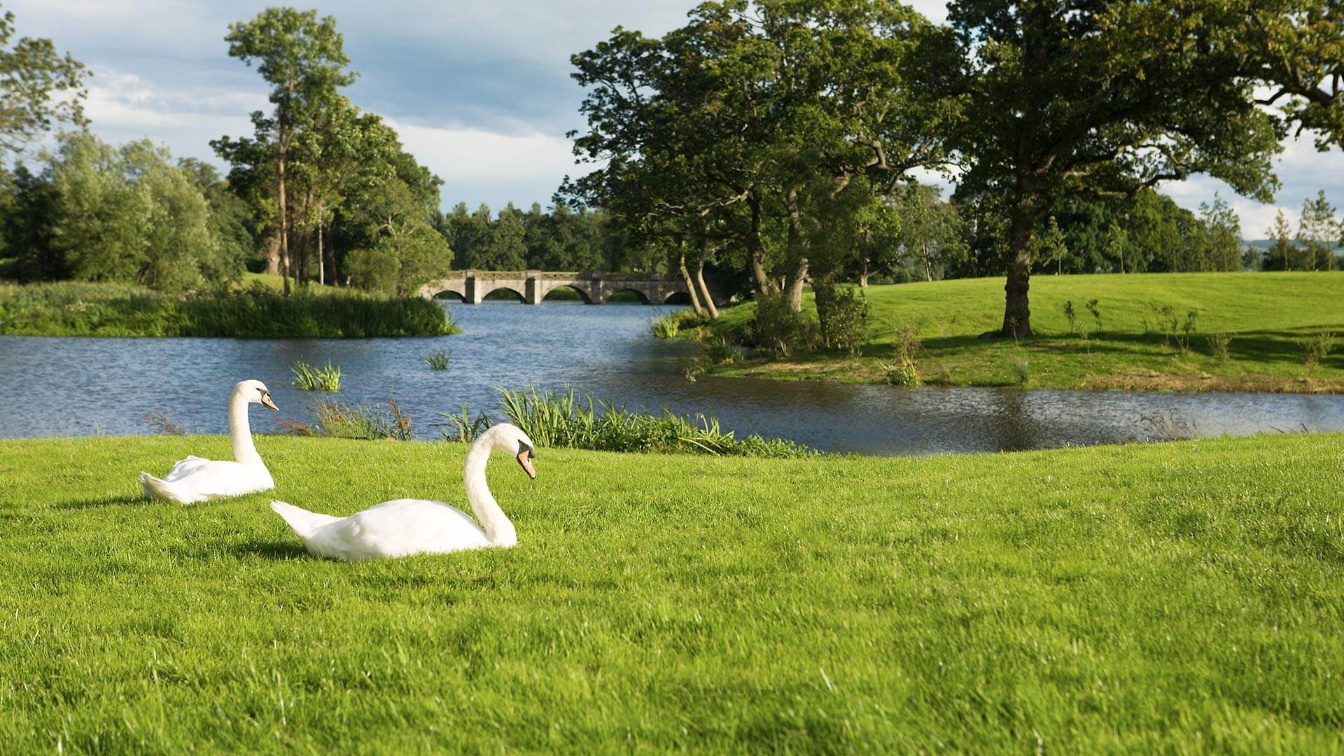 5 Star Luttrellstown Castle - Dublin’s Timeless Luxury Awaits