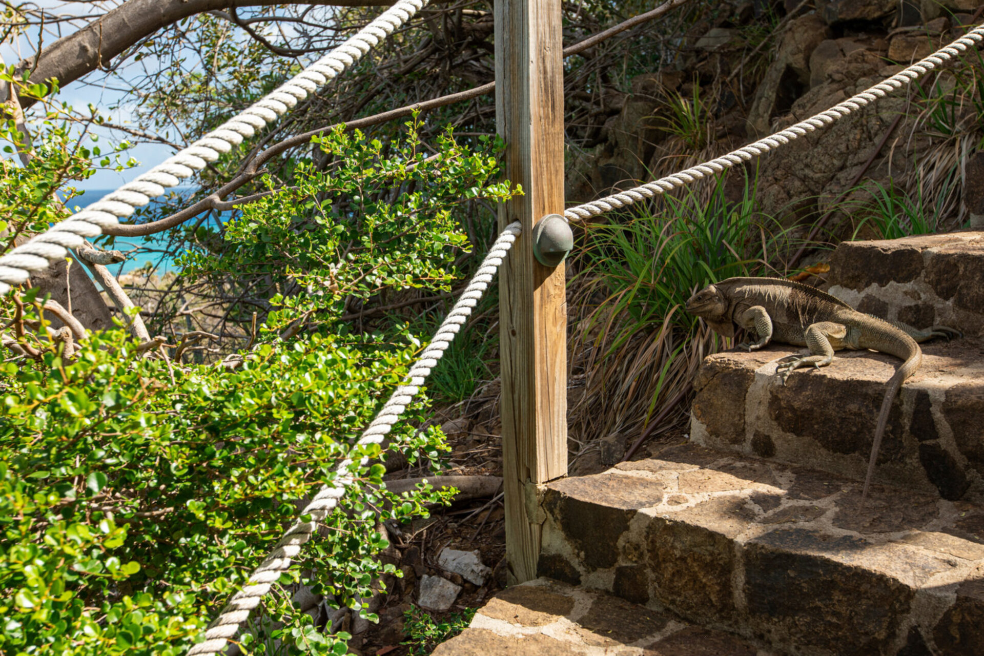 Book Necker Island, Your Own Private Paradise: Exclusive Access to Necker Island