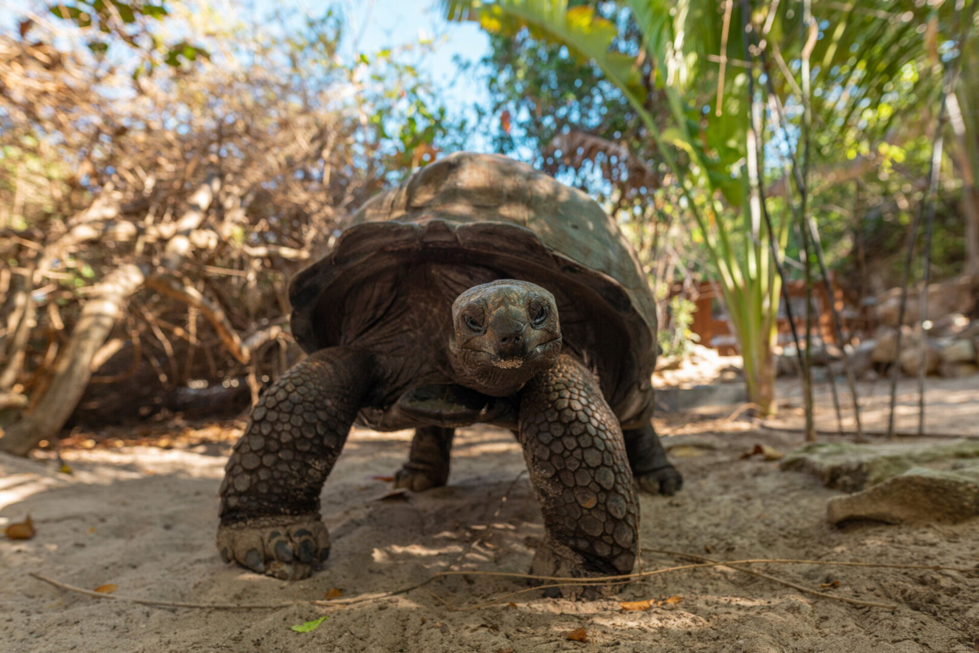 A Hidden Paradise in the Virgin Islands – 1001