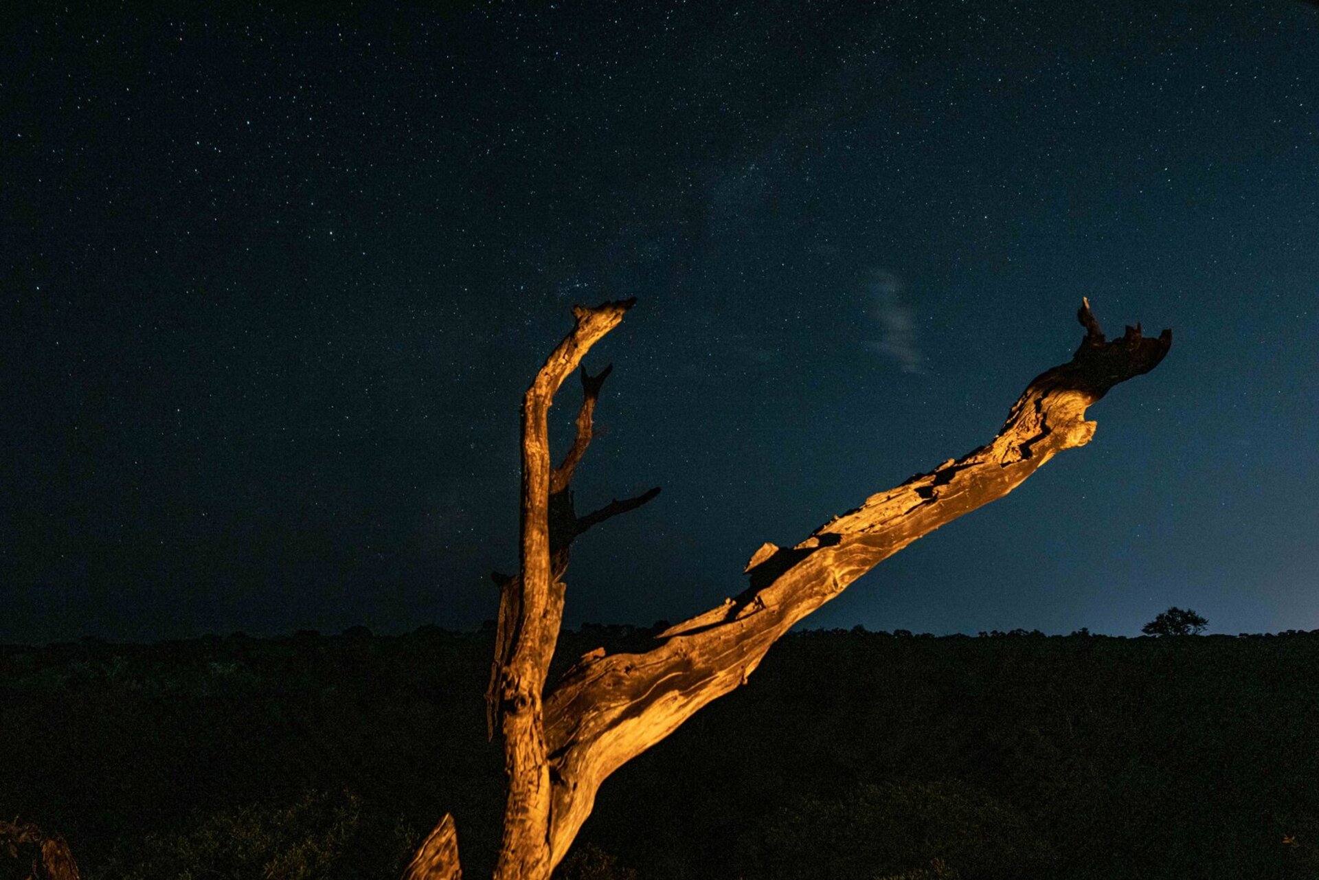 Ulusaba_Cliff 1030