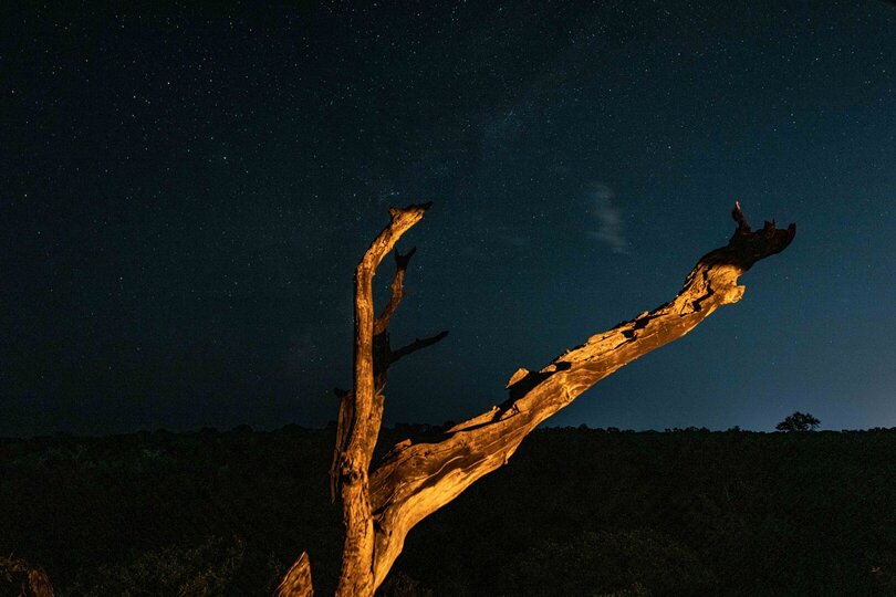 Ulusaba_Cliff 1030