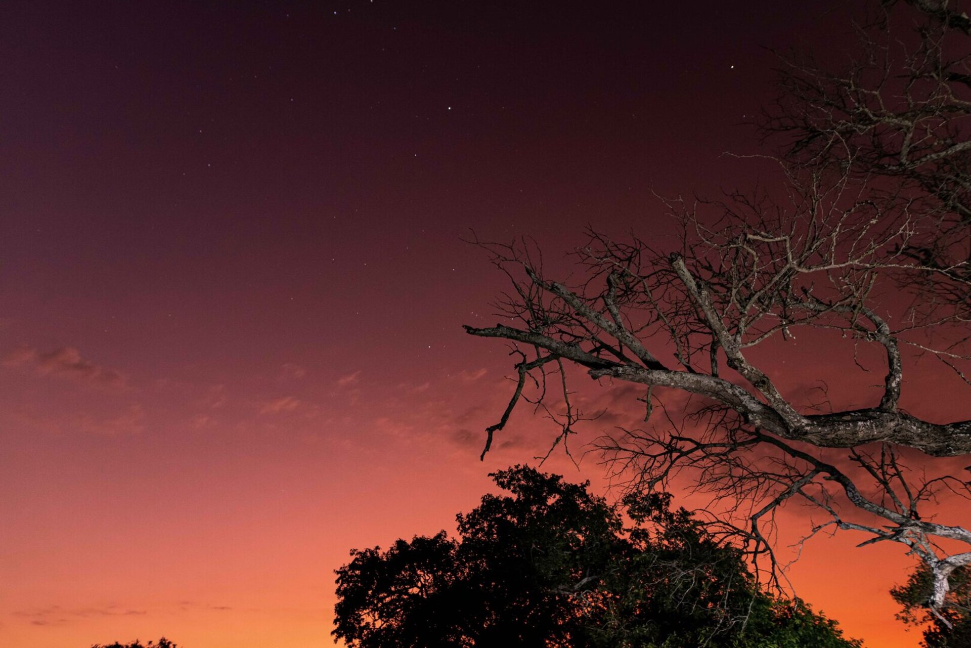Ulusaba_Cliff 1030