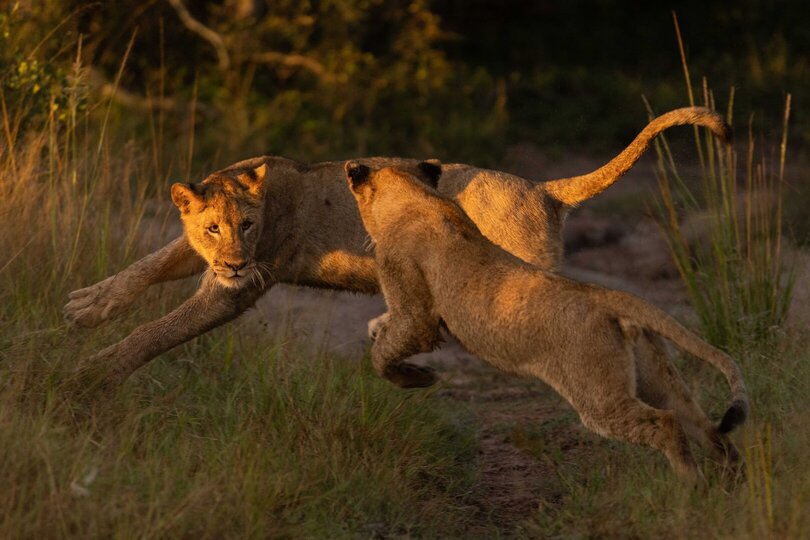 Ulusaba_Cliff 1030