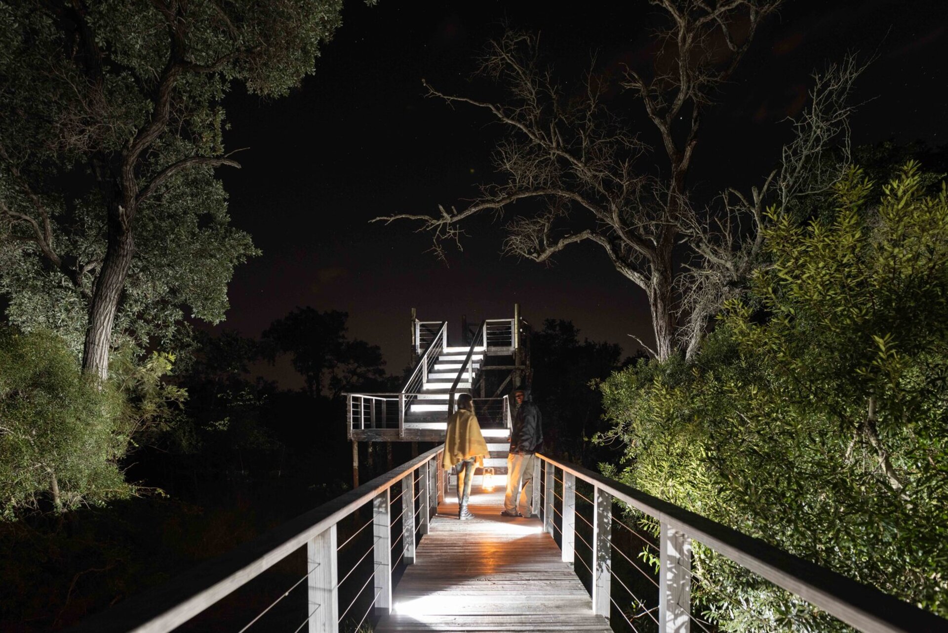 Tranquil Trails 1031