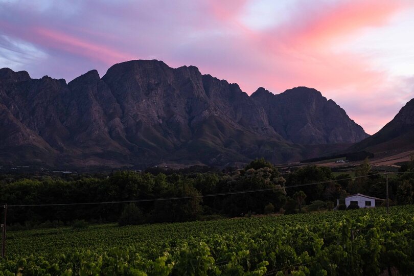 Elegant Shiraz Room with Vineyard & Mountain Views 1037