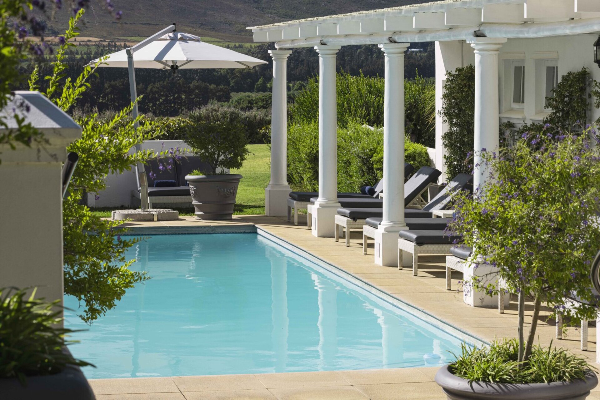 Elegant Shiraz Room with Vineyard & Mountain Views 1037