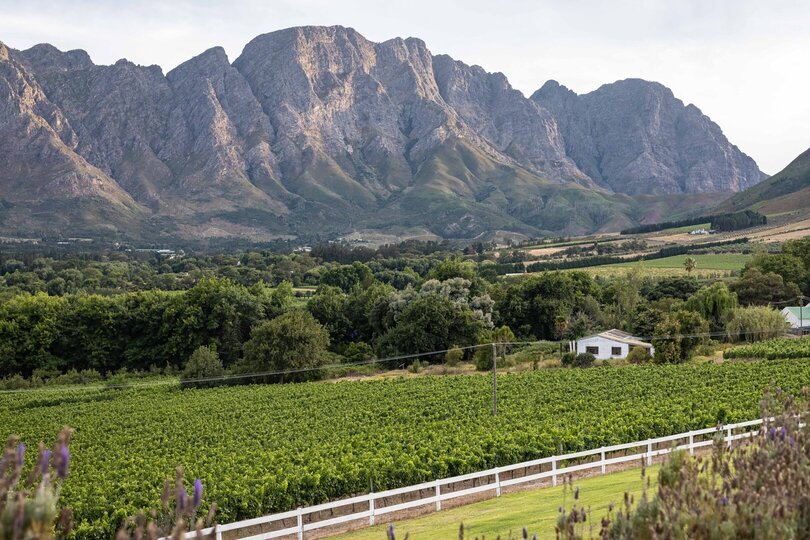 Elegant Shiraz Room with Vineyard & Mountain Views 1037