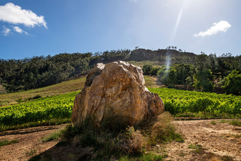 Elegant Shiraz Room with Vineyard & Mountain Views 1037
