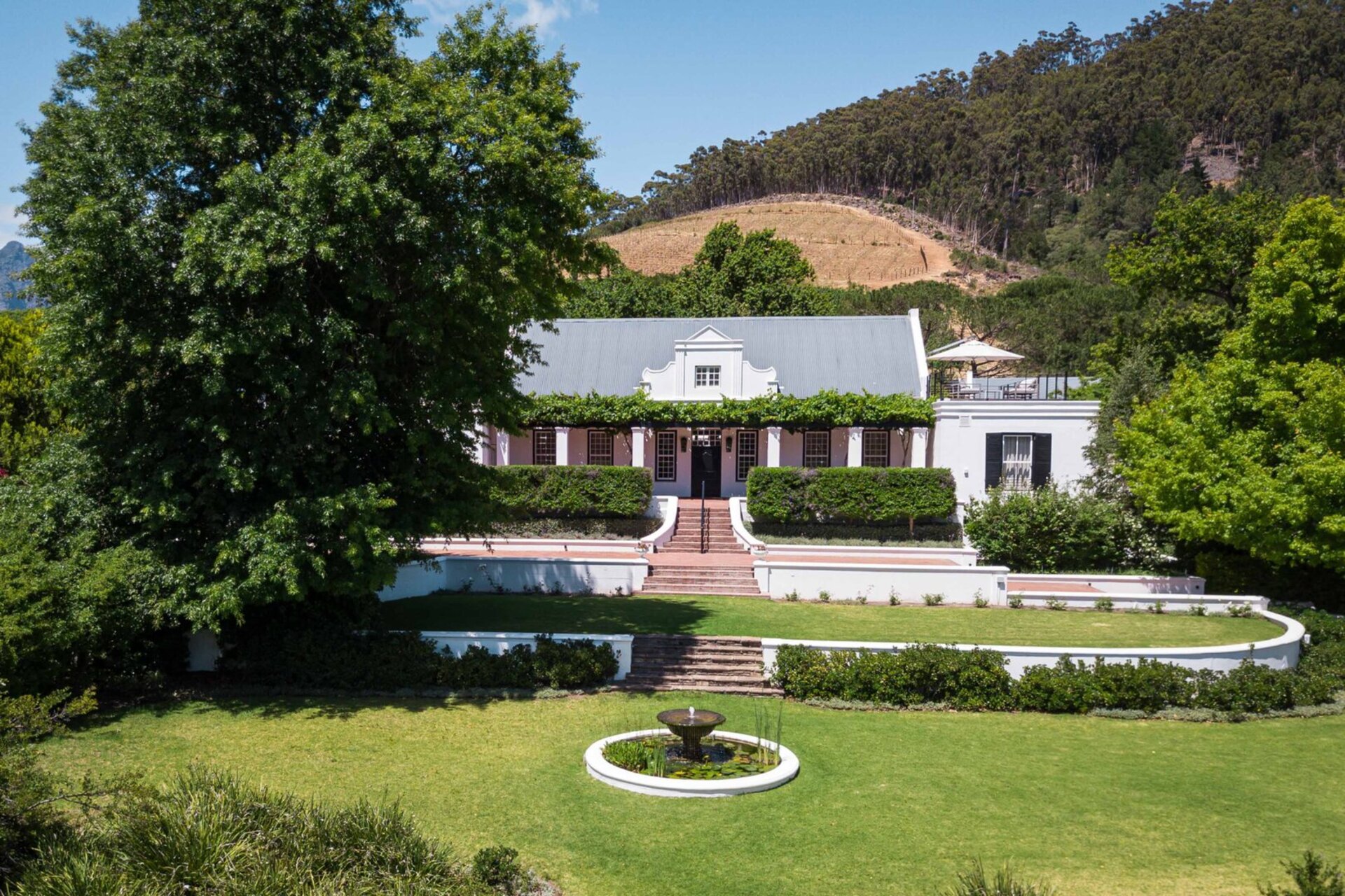 Elegant Pinotage Suites with Vineyard Mountain and Garden Views 1040