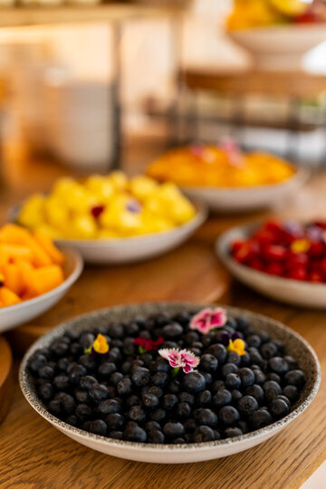 Cap Classique Vineyard Pool Suites with Private Pool 1043
