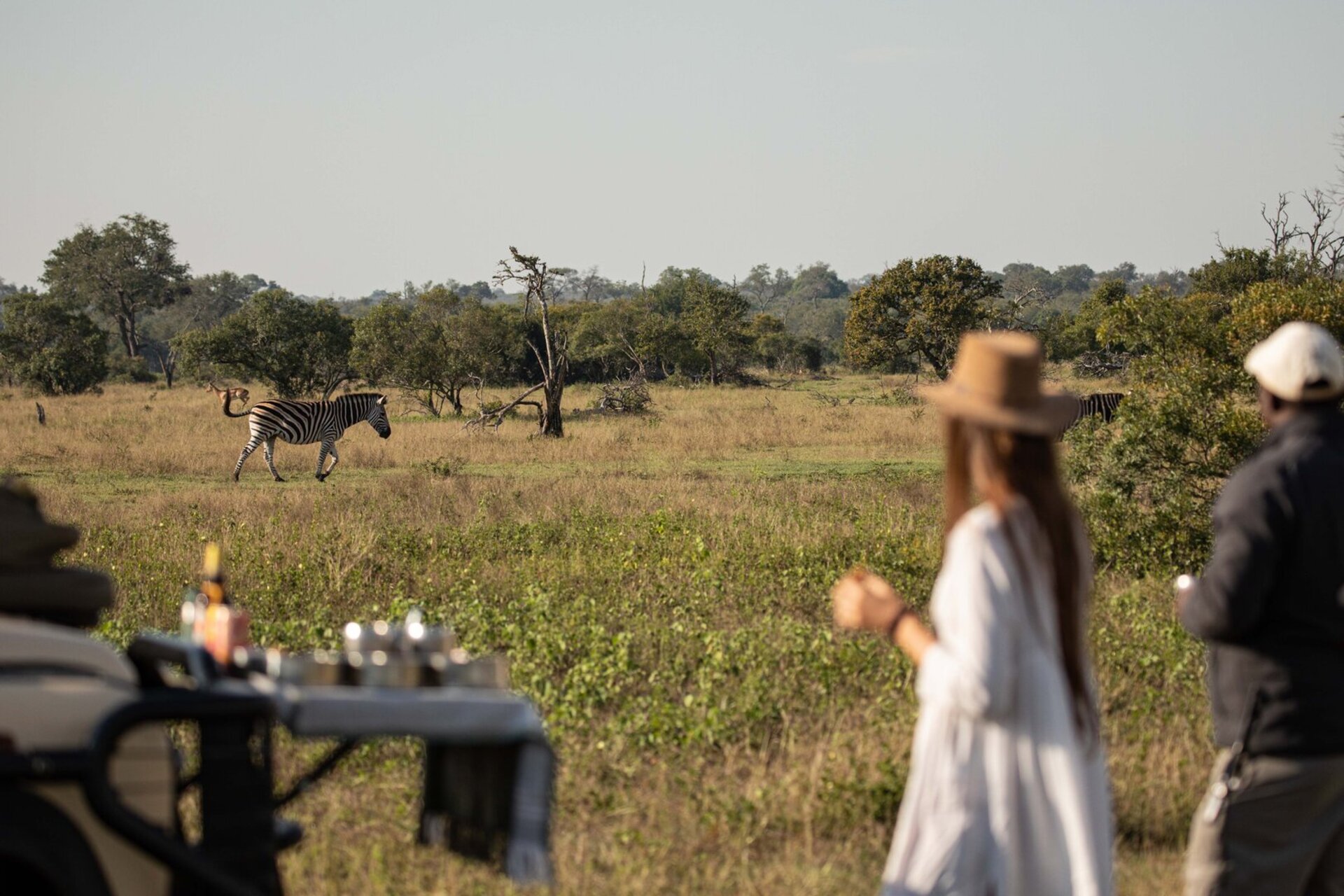 Private Safari Escape 1054