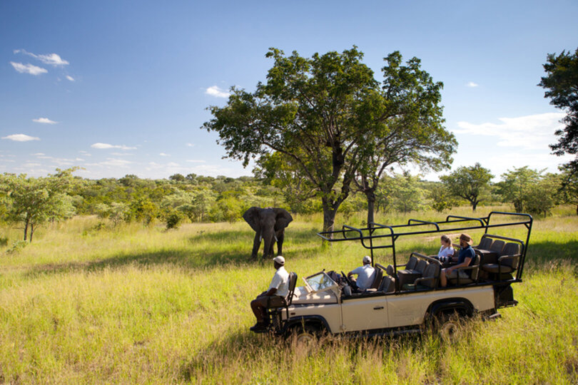 Private Safari Escape 1054