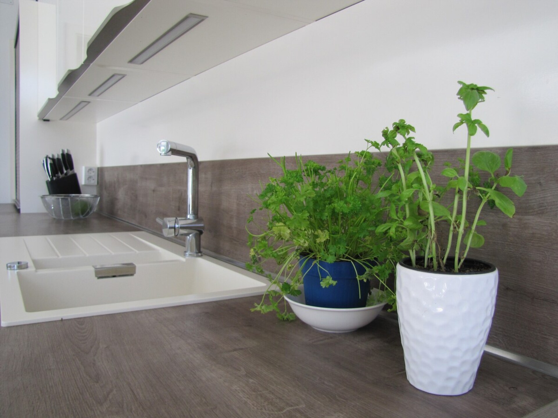Luxury  in Perfect Location, Sežana Villa 1003
