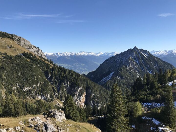 View