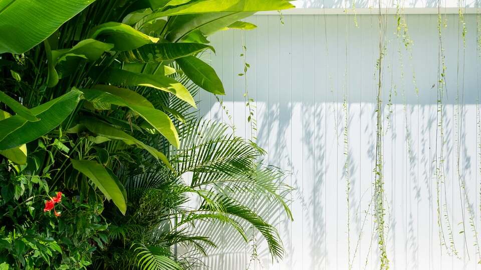 5 Star Loona Palm Canggu Estate - Contemporary Tropical Escape